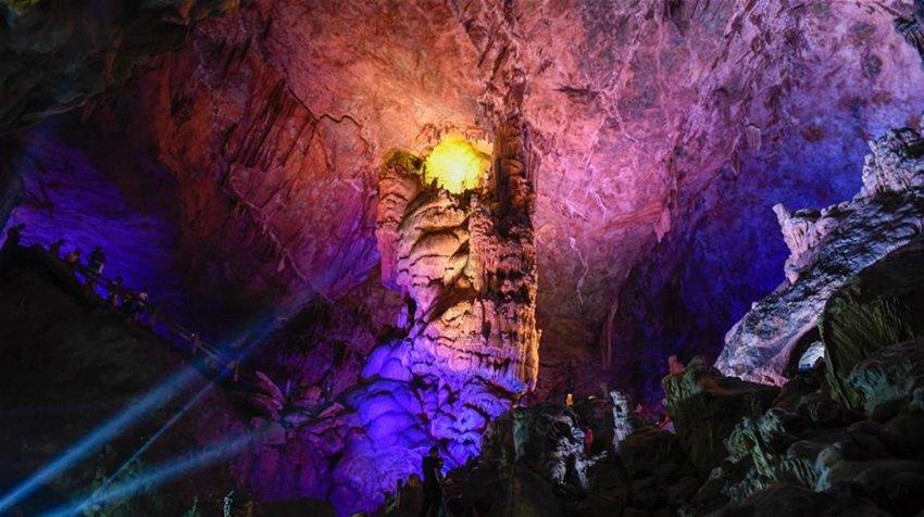 广东一男子用淡水生鱼喂猫遭质疑，猫吃鱼不是“天经地义”吗？游戏画面